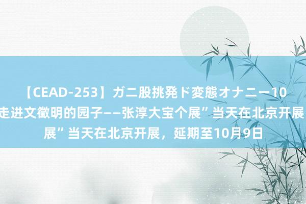 【CEAD-253】ガニ股挑発ド変態オナニー100人8時間 “咱们走进文徵明的园子——张淳大宝个展”当天在北京开展，延期至10月9日