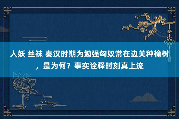 人妖 丝袜 秦汉时期为勉强匈奴常在边关种榆树，是为何？事实诠释时刻真上流