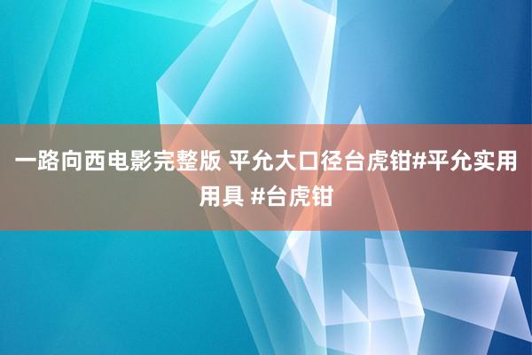 一路向西电影完整版 平允大口径台虎钳#平允实用用具 #台虎钳